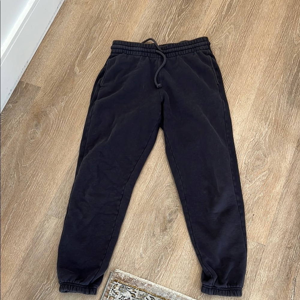 Aritzia cozy AF sweat joggers (dark grey)